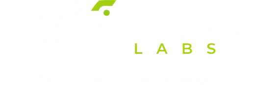 WSY Labs